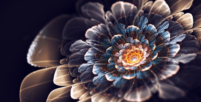 Flame fractal